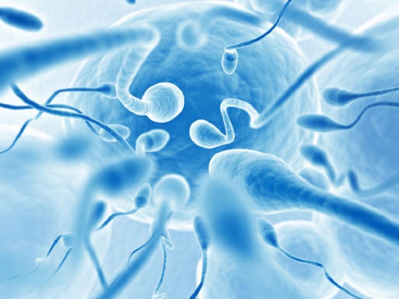 Andrology pic