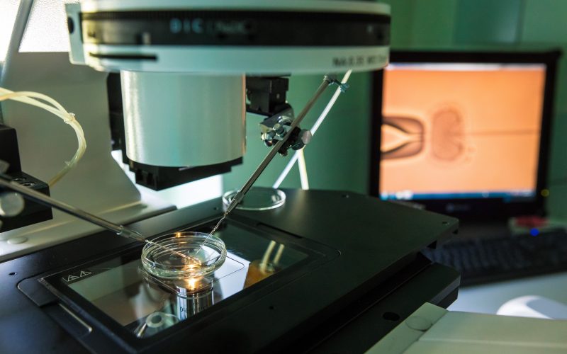 Embryo Freezing pic