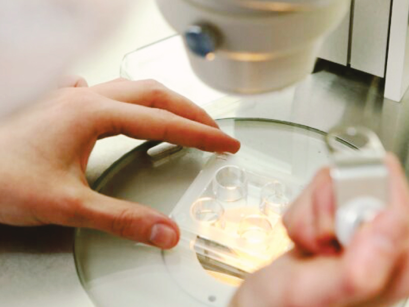 Embryology pic