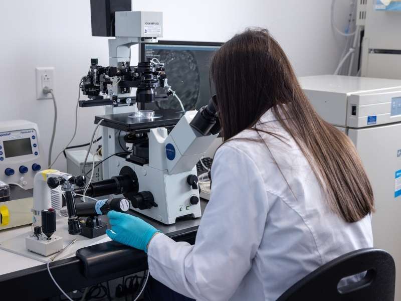 Reproductive Endocrinology pic