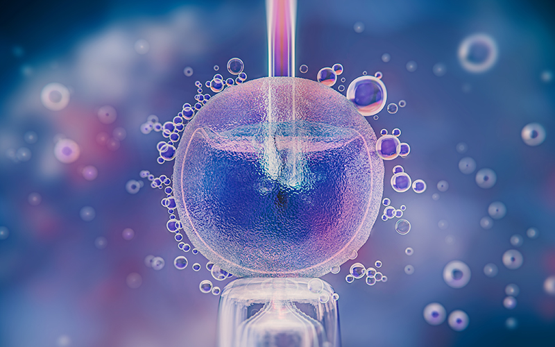 ivf banner